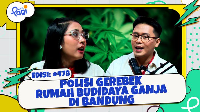 Polisi Gerebek Rumah Budidaya Ganja di Bandung