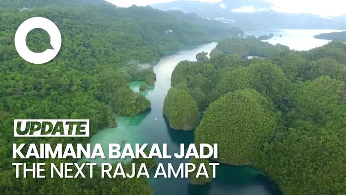 Video: Punya Spot Diving Alami, Ekowisata Kaimana Mulai Dikenal Mancanegara