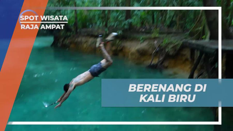 Berenang Riang di Keindahan Kali Biru, Raja Ampat