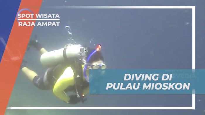 Menyaksikan Pesona Bawah Laut saat Diving di Pulau Mioskon, Raja Ampat
