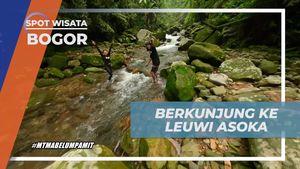 Menjelajahi Keindahan Hidden Gem Leuwi Asoka, Bogor