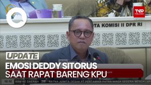 Video Emosi Deddy Sitorus Saat Rapat Bareng KPU: Kalau Perlu Mundur Berjamaah!