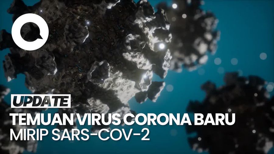Video WHO soal Ilmuwan China Temukan Virus Corona Baru Mirip Penyebab Covid-19