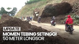 Video: Detik-detik Tebing Setinggi 50 Meter Longsor di Lumajang