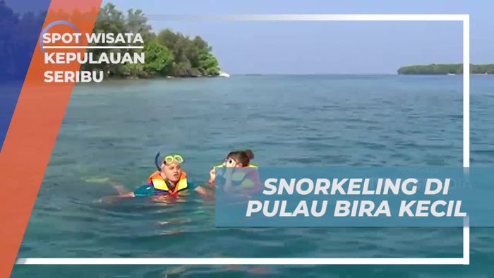 Mengagumi Terumbu Karang saat Snorkling di Pulau Bira Kecil, Kepulauan Seribu