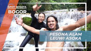 Menemukan Pesona Tersembunyi Leuwi Asoka, Bogor