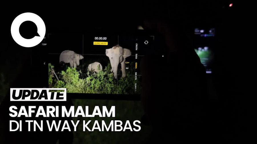 Video: Seru! Menyusuri Taman Nasional Way Kambas di Malam Hari