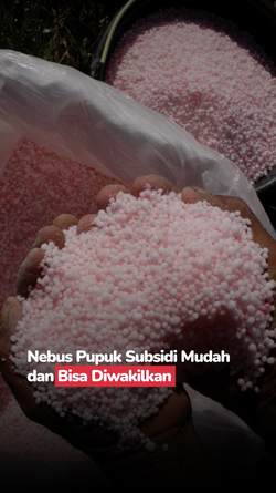 Pupuk Bersubsidi Bisa Ditebus Mulai 1 Januari 2025, Petani Bisa Diwakilkan!