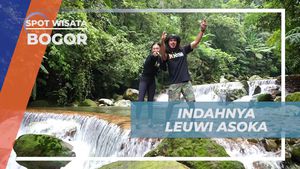 Menikmati Keindahan Alami di Leuwi Asoka, Bogor