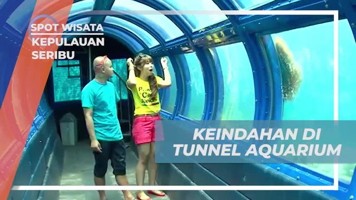 Menikmati Keindahan Bawah Laut di Tunnel Aquarium, Kepulauan Seribu