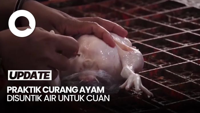 Video: Polisi Bongkar Praktik Ayam Gelonggongan di Pasar Kebayoran Lama Jaksel