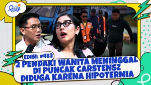 2 Pendaki Wanita Meninggal di Puncak Carstensz Diduga karena Hipotermia