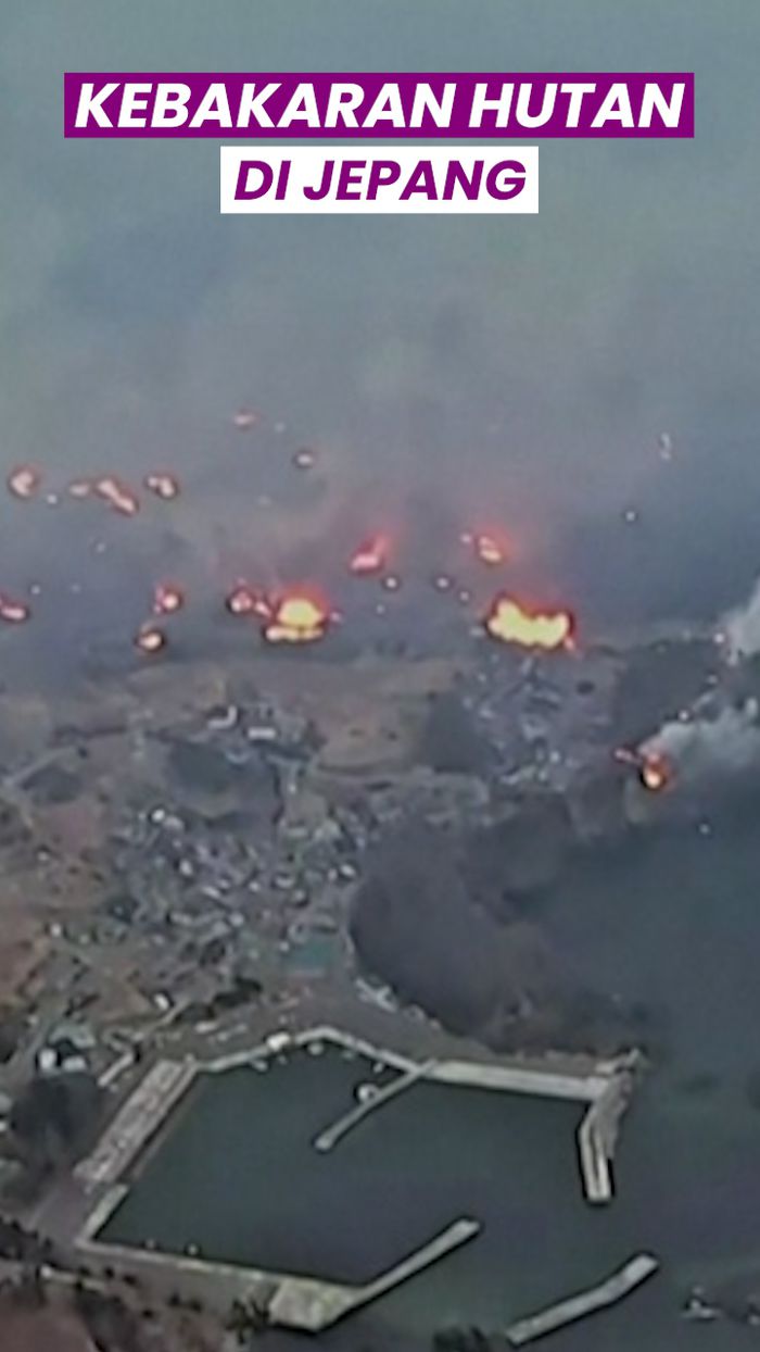 Video: Melihat dari Udara Parahnya Kebakaran Hutan di Jepang