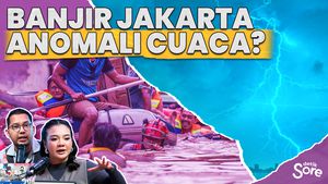 Ahli Sebut Langkah Taktis Saat Banjir Terjadi