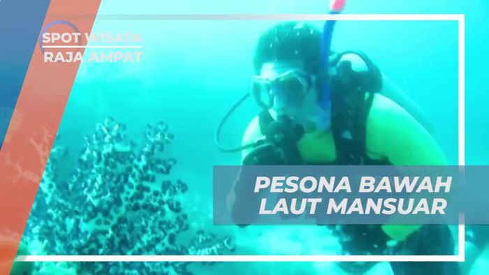 Menjelajahi Keindahan Bawah Laut Mansuar di Raja Ampat 
