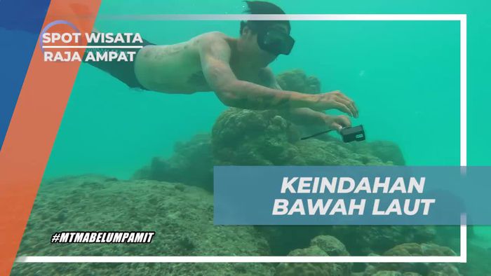 Menyelam dan Berenang di Bawah Laut Pulau Wayag, Raja Ampat