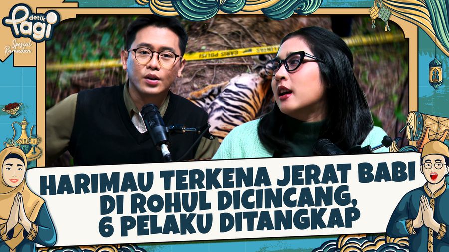 Harimau Terkena Jerat Babi di Rohul Dicincang, 6 Pelaku Ditangkap