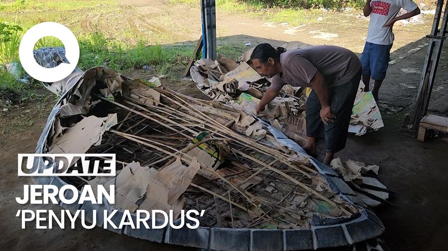 Video: Intip Jeroan Penyu Kardus yang Viral di Alun-alun Gadobangkong
