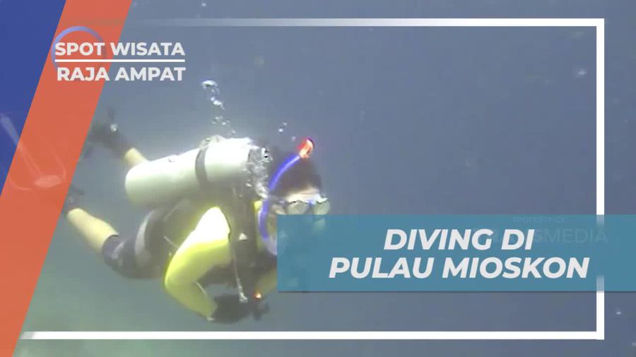 Menyelam untuk Menyaksikan Keindahan Pulau Mioskon di Raja Ampat  
