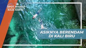 Bersenang-senang Berendam di Air Jernih Kali Biru, Raja Ampat