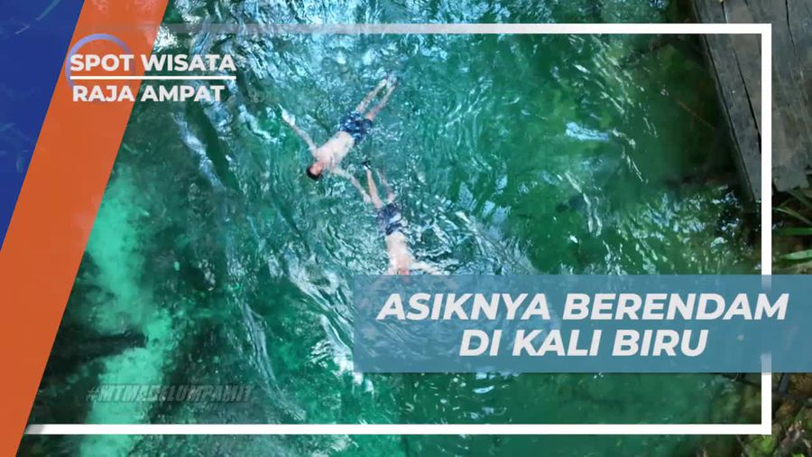 Bersenang-senang Berendam di Air Jernih Kali Biru, Raja Ampat