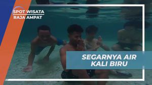 Menjelajahi Keindahan Air Kali Biru, Raja Ampat
