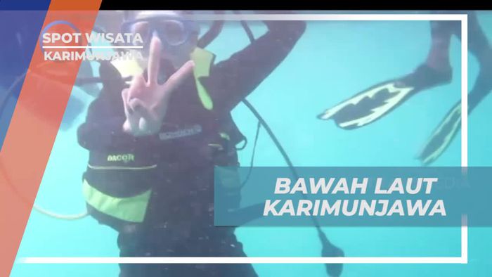 Mengagumi Keindahan Bawah Laut Karimunjawa Saat Diving