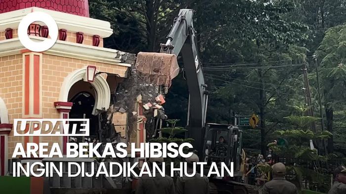 Video: Dedi Mulyadi Ingin Hibisc Fantasy Dibongkar, Lalu Dijadikan Hutan
