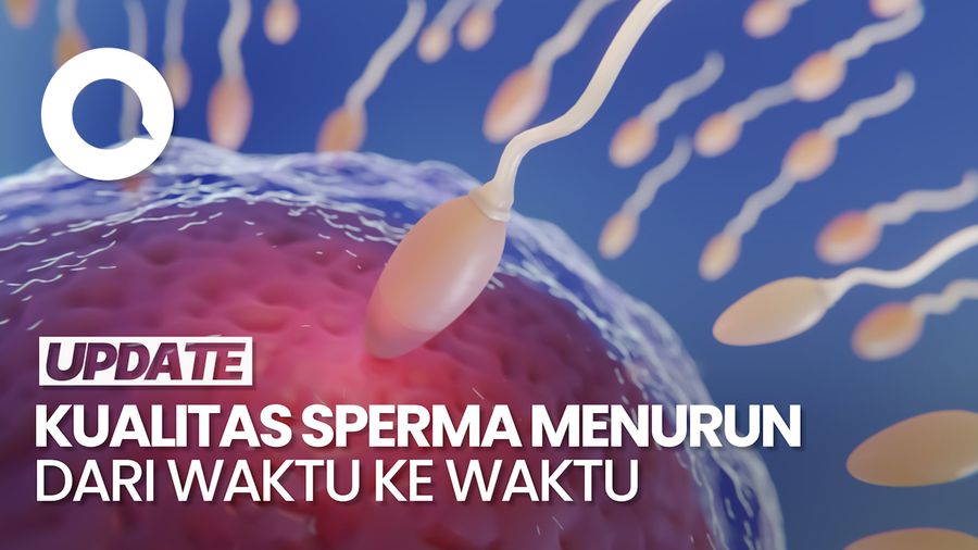 Video: Dokter Urologi Sebut Kualitas Sperma Laki-laki Menurun di Tahun 2000-an