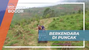 Berkendara Nikmat Menyusuri Puncak Bogor, Indonesia