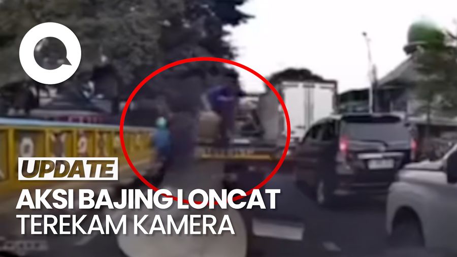 Video: Viral Bajing Loncat Curi Minyak dari Mobil Pikap yang Terjebak Macet di Koja