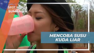 Menikmati Sensasi Rasa Susu Kuda Liar di Sumbawa