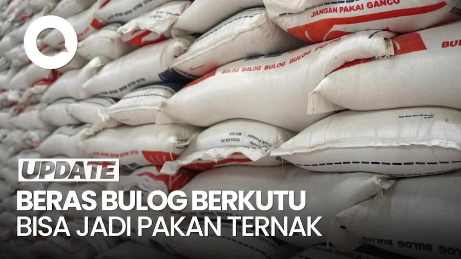 Video Wamentan soal Beras Bulog Berkutu: Bisa Jadi Pakan Ternak