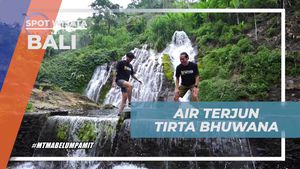 Menyelami Keindahan Air Terjun Tirta Bhuwana di Bali