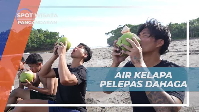Segarkan Diri dengan Air Kelapa di Pinggir Pantai Madasari, Pangandaran