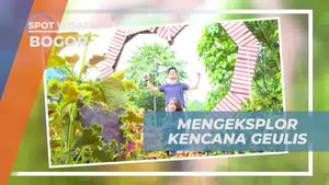 Menggali Keindahan Kencana Geulis di Bogor