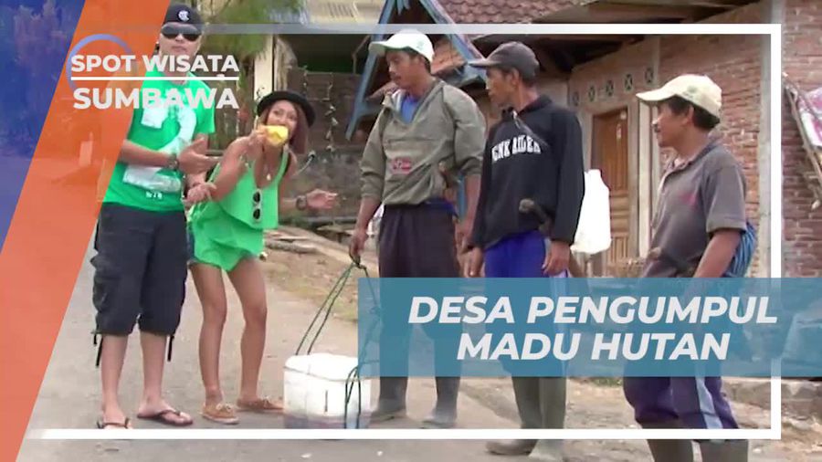 Bergabung dengan Pemburu Madu Hutan di Desa Batu Dulang, Sumbawa