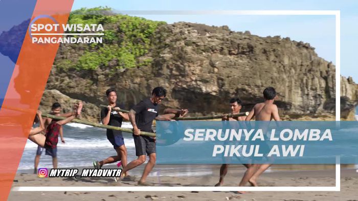 Rasakan Semangat Seru dalam Perlombaan Pikul Awi di Pangandaran