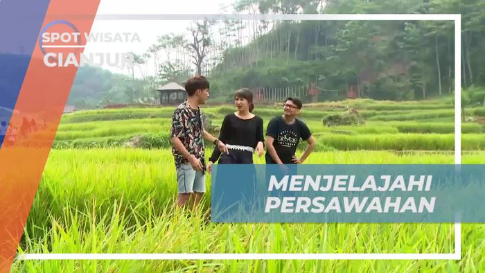 Menikmati Keindahan Alam di Persawahan Cianjur