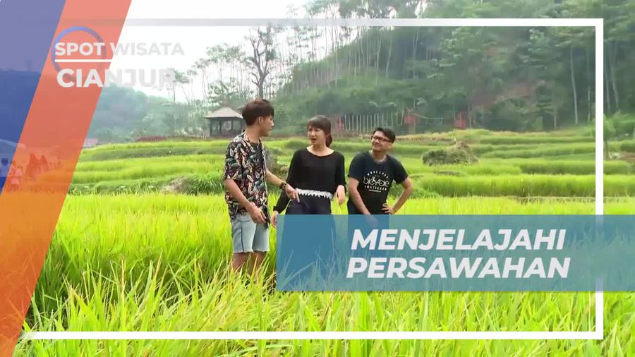 Menikmati Keindahan Alam di Persawahan Cianjur