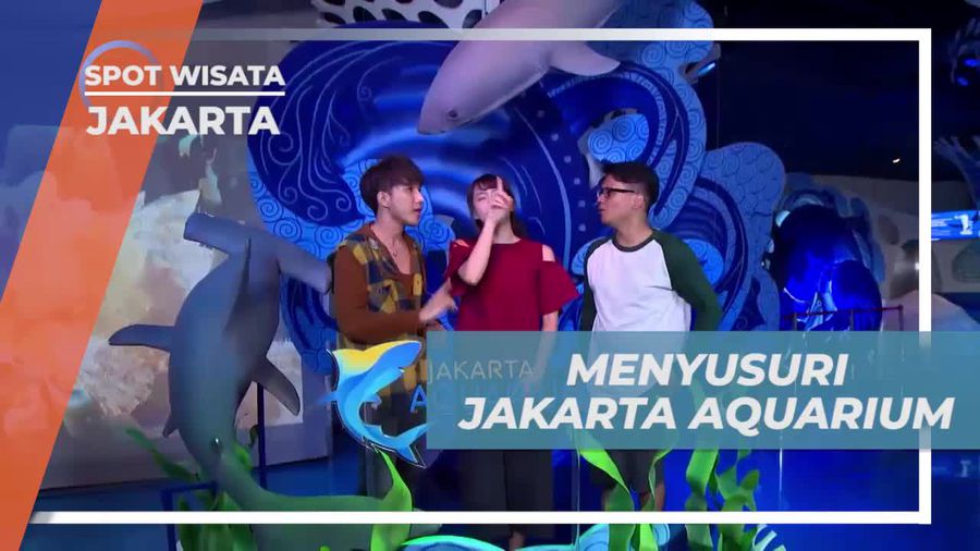Jelajahi Keindahan Jakarta Aquarium yang Memukau