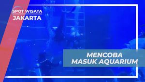Ikuti Petualangan Masuk ke Dalam Aquarium Raksasa di Jakarta