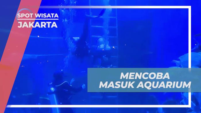Ikuti Petualangan Masuk ke Dalam Aquarium Raksasa di Jakarta