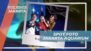 Abadikan Momen Menarik di Spot Foto Jakarta Aquarium