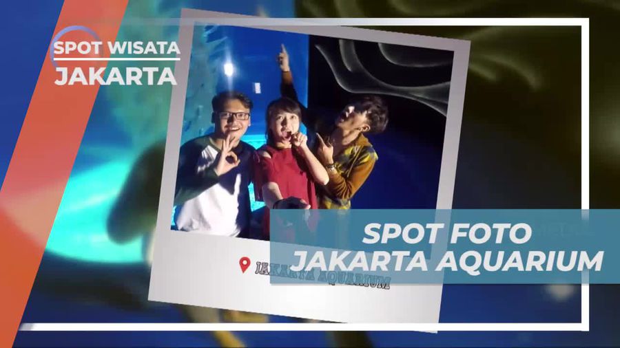 Abadikan Momen Menarik di Spot Foto Jakarta Aquarium