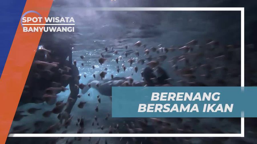 Menikmati Keindahan Laut dan Berenang Bersama Ikan di Banyuwangi