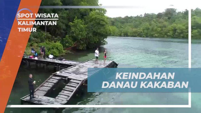 Menyelami Pesona Langka Danau Kakaban di Kalimantan Timur