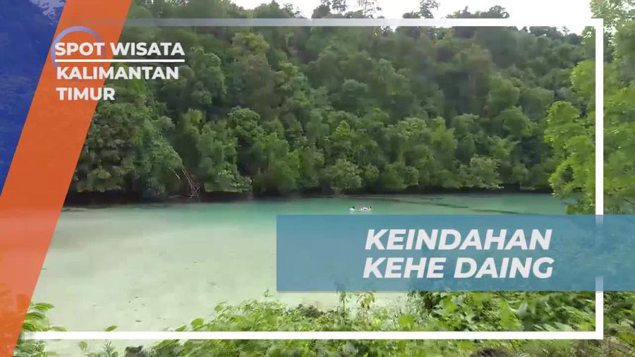 Menemukan Surga Tersembunyi di Laguna Pulau Kakaban, Kalimantan Timur