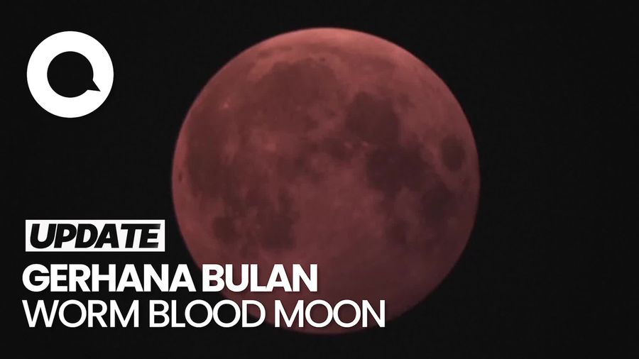 Video: Fenomena Bulan Purnama Menjadi Merah Karena Gerhana