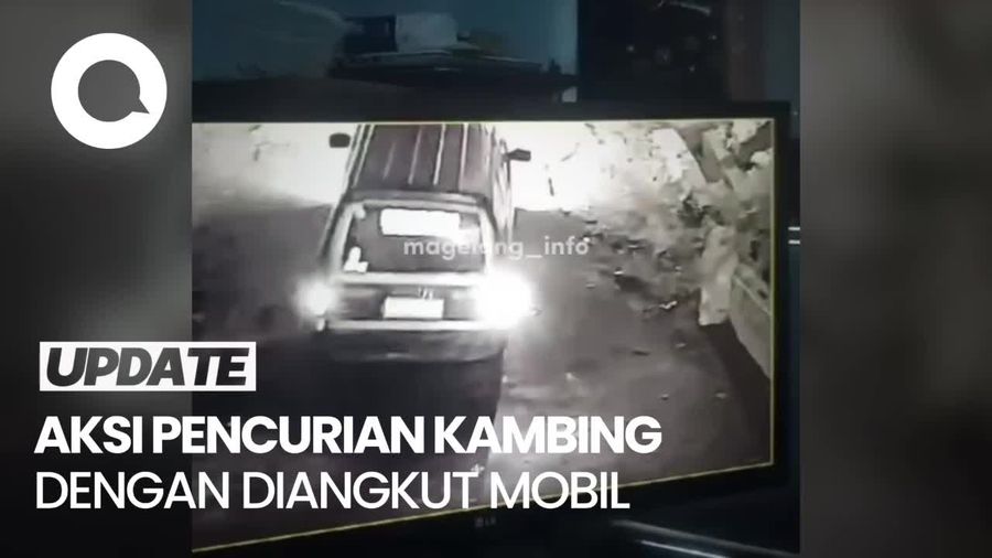 Video: Rekaman CCTV Pencurian Kambing Pakai Mobil di Magelang